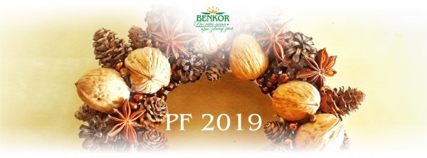 PF 2019