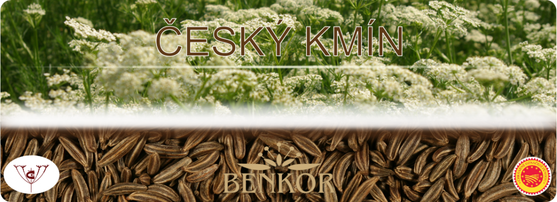 Benkor Cesky Kmin.png