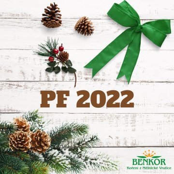 PF 2022